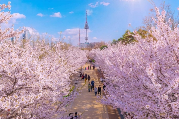 HÀN QUỐC - SEOUL-NAMI ISLAND- EVERLAND